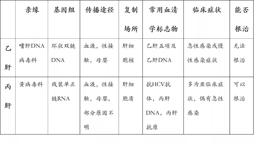丙肝與乙肝相差不止一個(gè)字